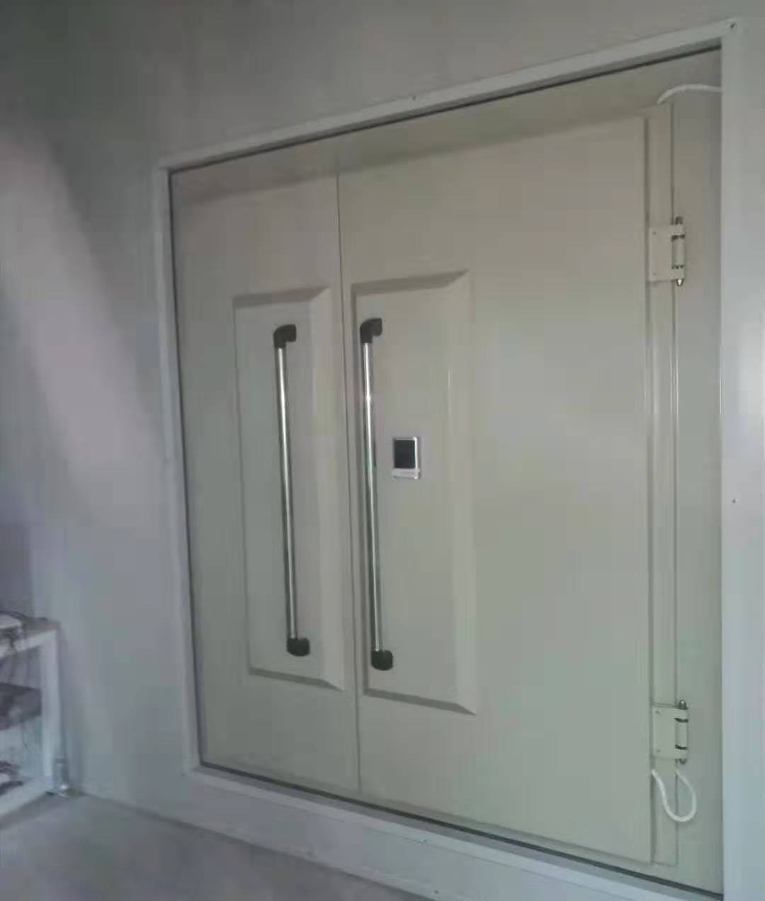 電動(dòng)雙開(kāi)屏蔽門(mén)